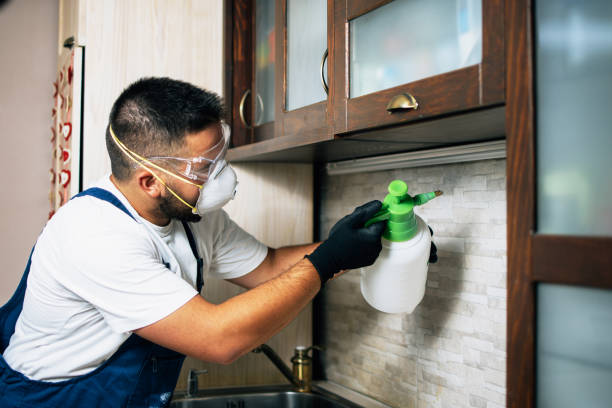 Best Wasp Removal Services  in Oakhurst, CA