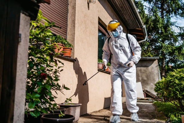 Best Pest Control Treatment  in Oakhurst, CA