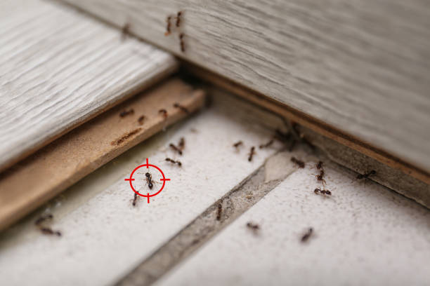 Best Commercial Pest Control Services  in Oakhurst, CA