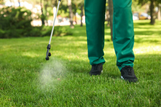 Trusted Oakhurst, CA Pest Control Experts