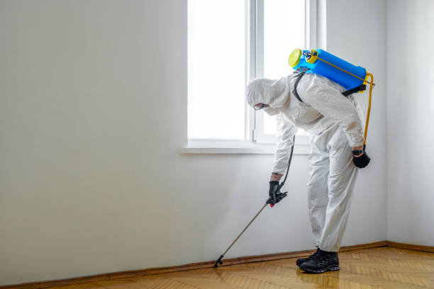 Best Best Pest Control Companies  in Oakhurst, CA