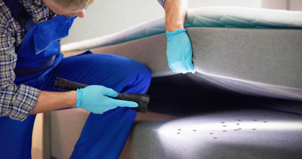 Best Pest Inspection Near Me  in Oakhurst, CA