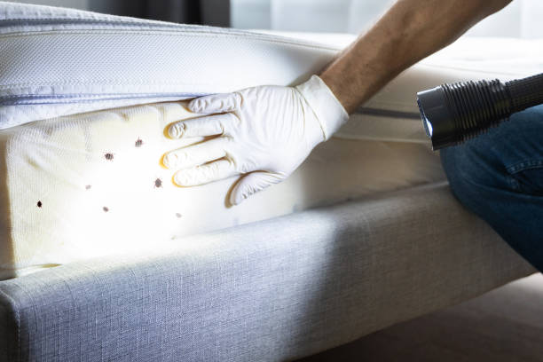 Best Pest Control Near Me  in Oakhurst, CA