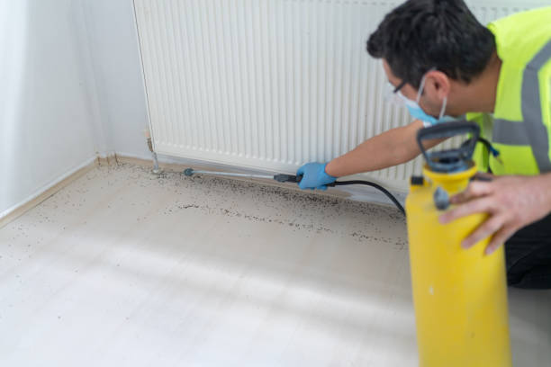 Best Best Pest Control Companies  in Oakhurst, CA