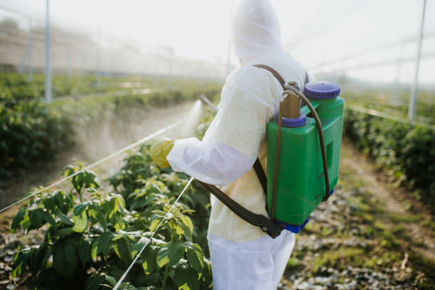 Best Affordable Pest Control Services  in Oakhurst, CA